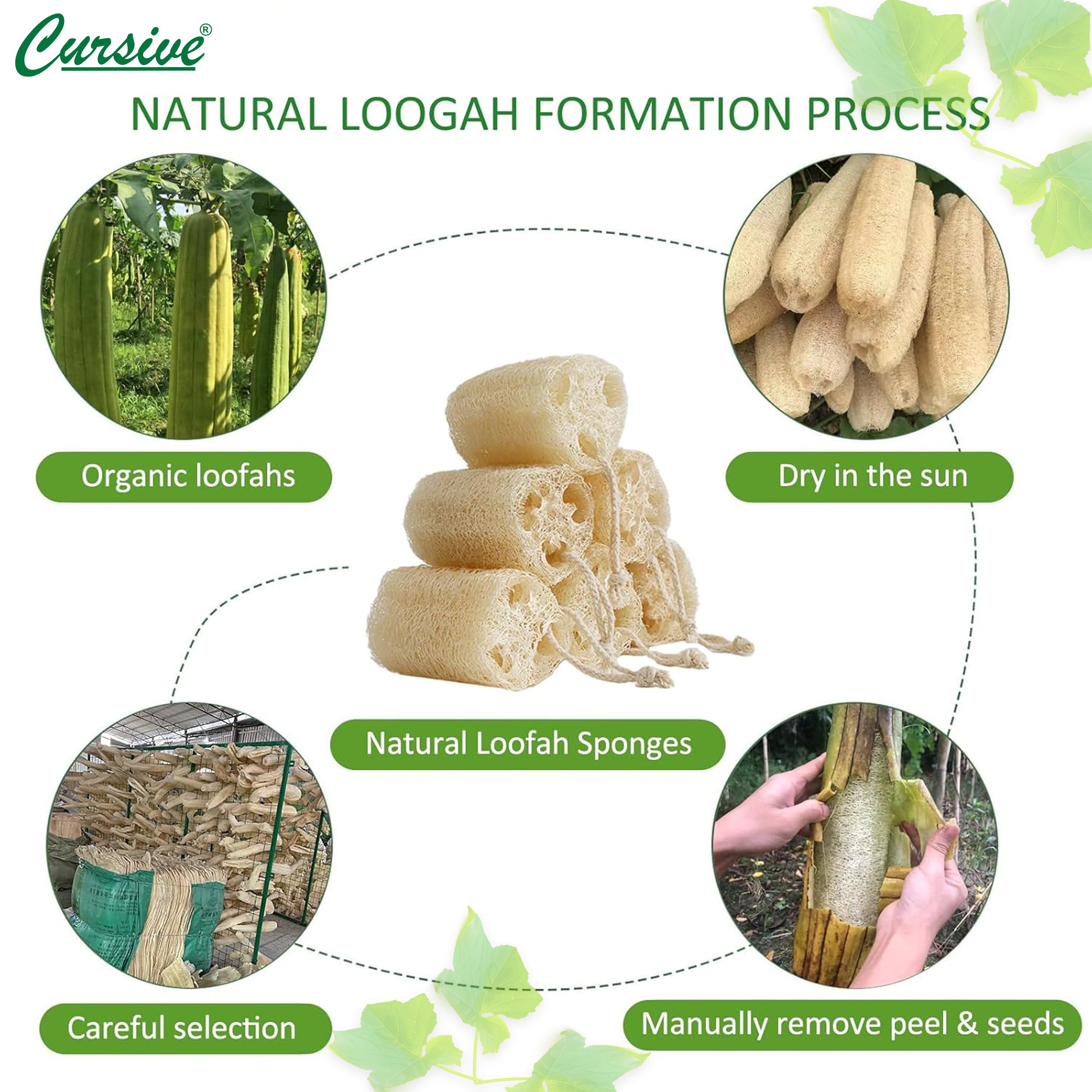 Tori Loofah Sponge Bath & Body Scrubber